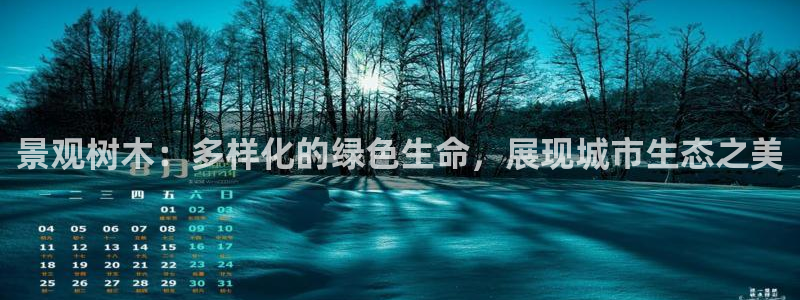 关于新宝GG