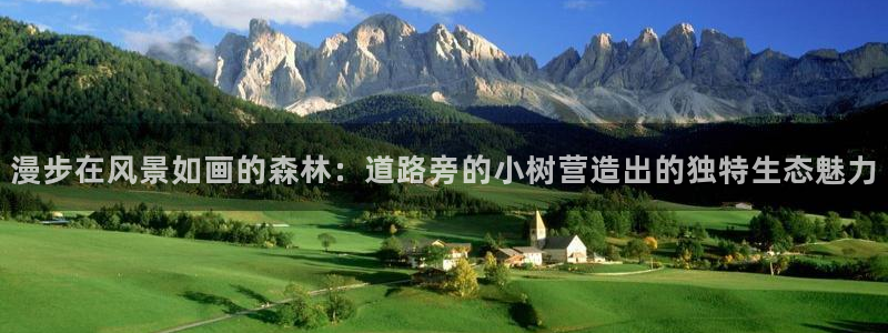 新宝娱乐gg