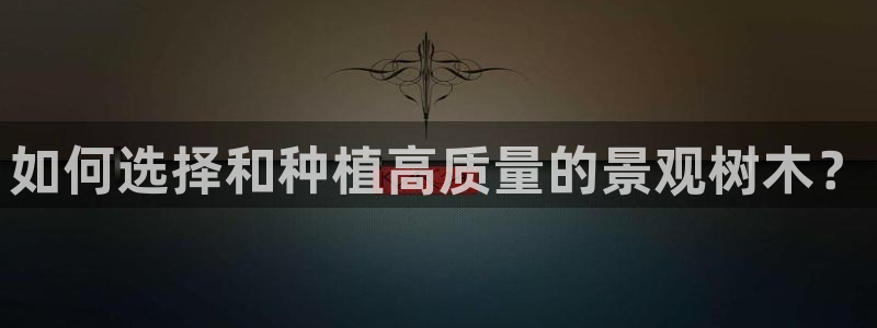 新宝gg为什么没人管
