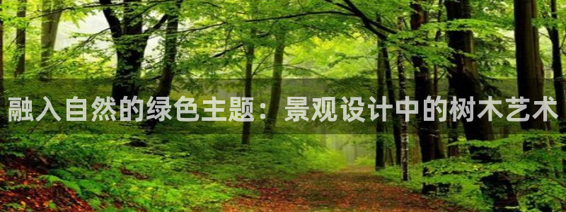 新宝gg—登录