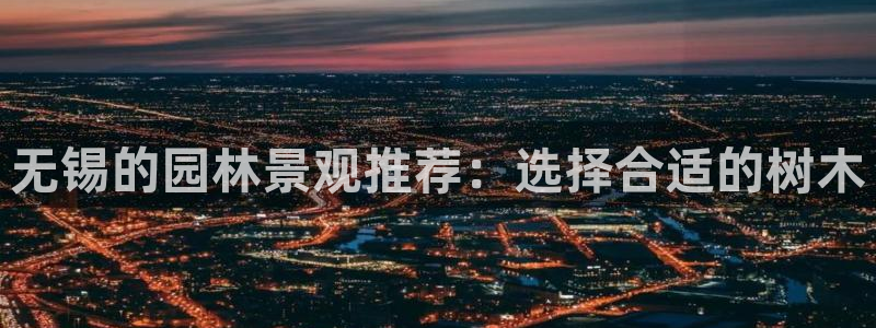 新宝gg 奇迹