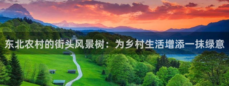 新宝GG寥78778