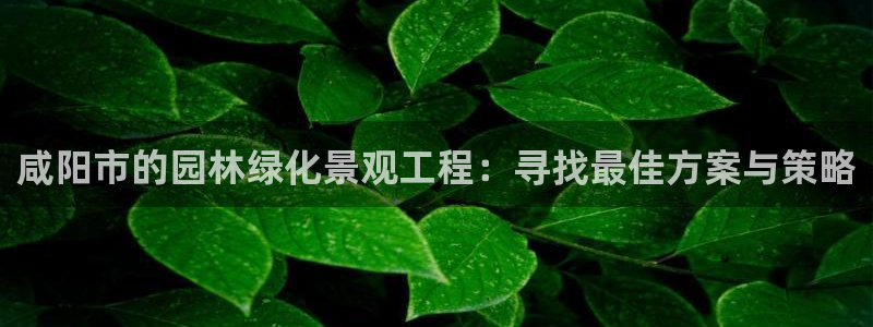 新宝gg开