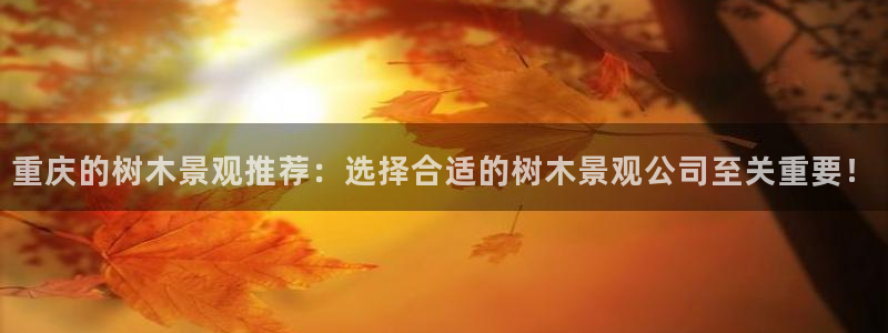 新宝gg代