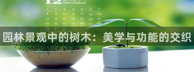 新宝 gg 登录