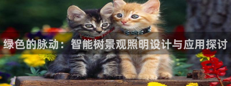 新宝gg推荐
