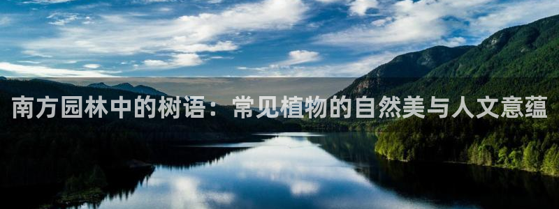 新宝gg客户端下载