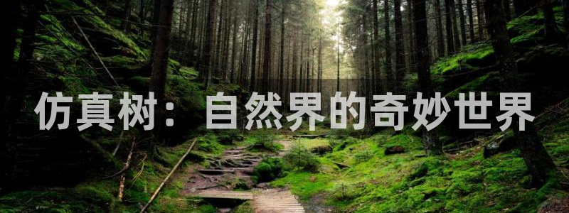 新宝GG娱乐-上皇巢网