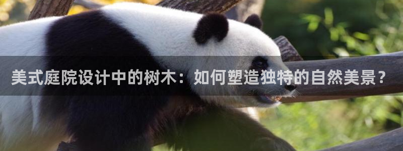 新宝GG最高返点多少