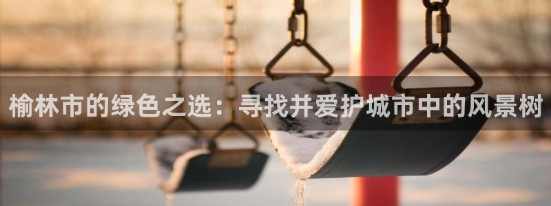 新宝gg主管 9