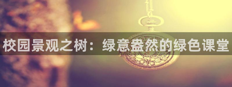 新宝 gg .com
