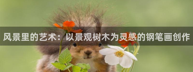 新宝太阳gg