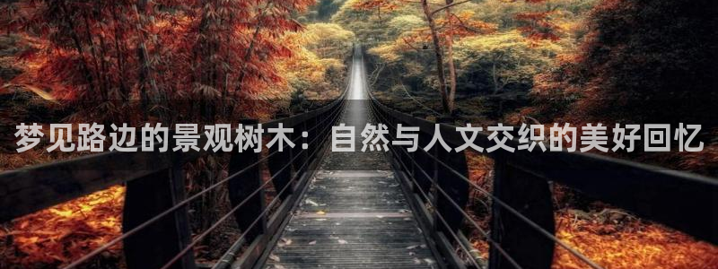 新宝gg娱乐首页
