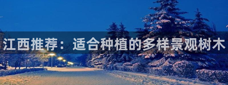 新宝gg时时彩