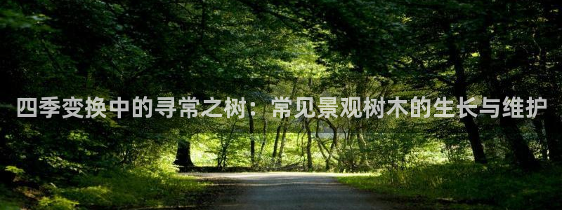 新宝gg娱乐盟主