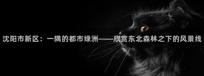 新宝gg平台首页