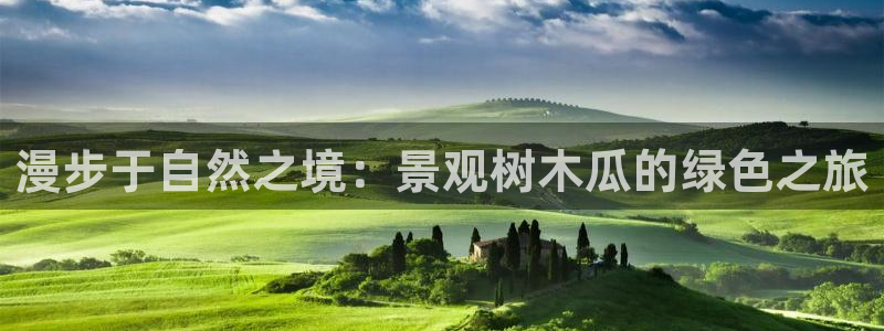 新宝gg娱乐怎么样