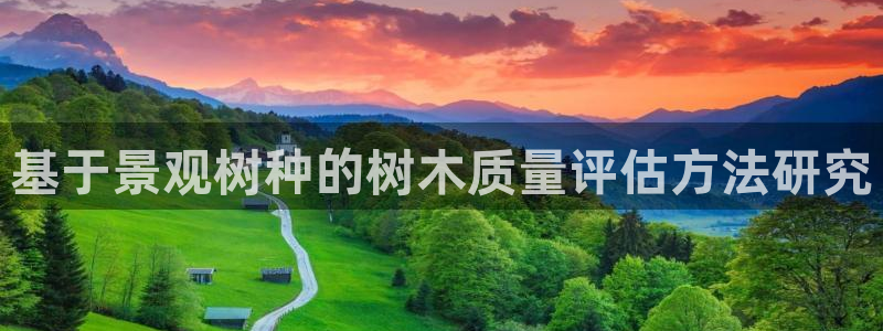 新宝gg平台连接