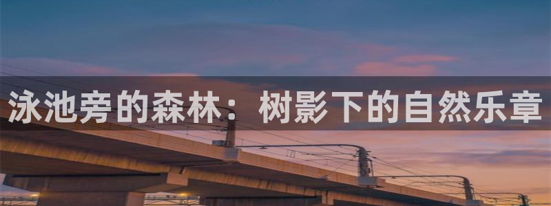 新宝gg平台怎么样