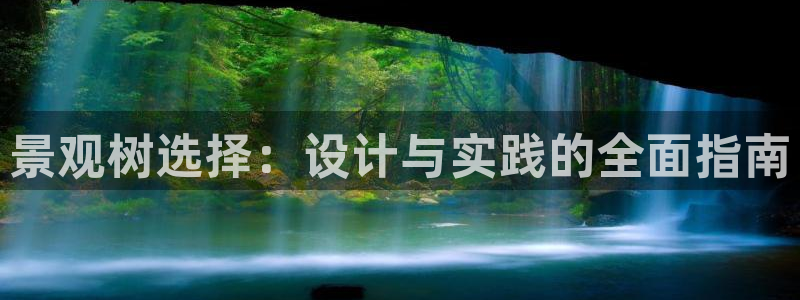 关于新宝GG