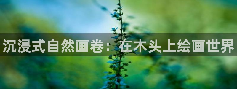 新宝gg找回账号