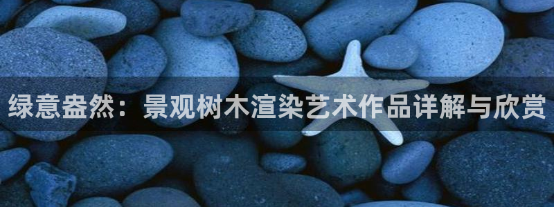 新宝gg创造