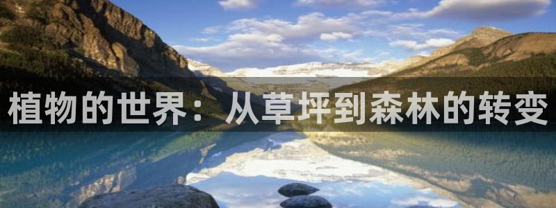 新宝GG反点
