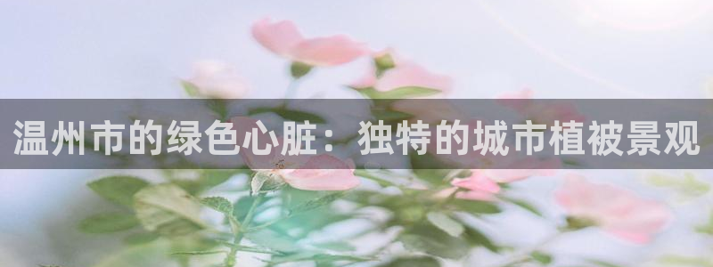 www.新宝gg