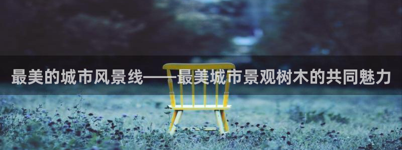 新宝gg平台反水