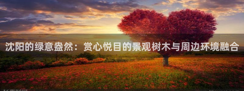 新宝gg画