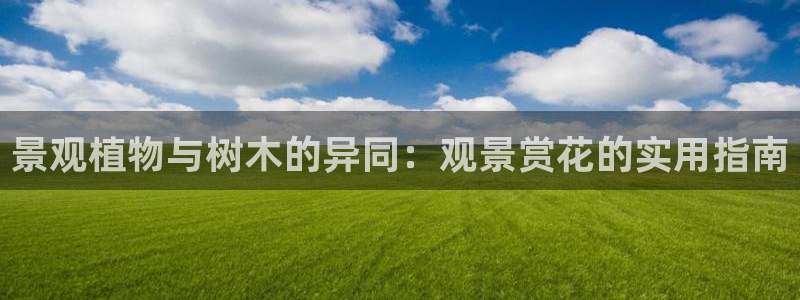 新宝gg用哪个浏览器