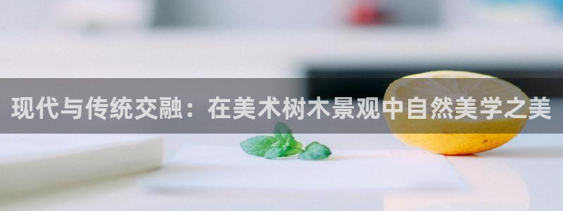 新宝gg网娱乐