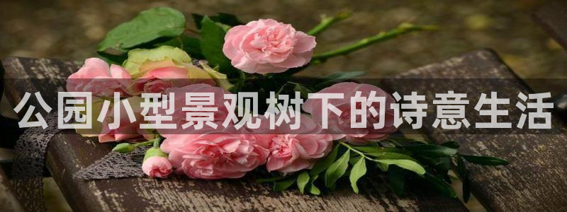 新宝gg手机助手