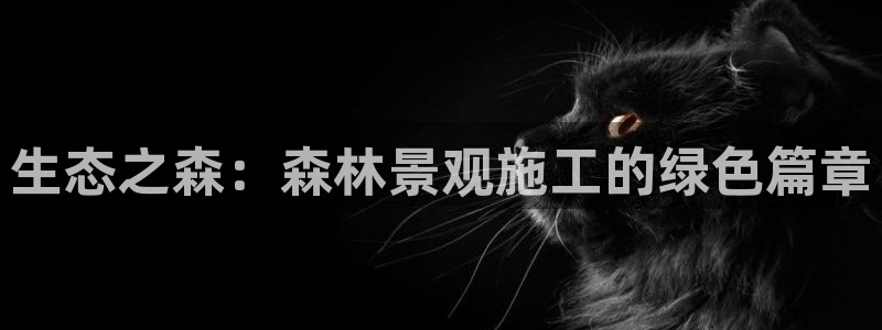 新宝新宝gg开户流程