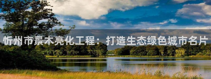 新宝gg游戏平台