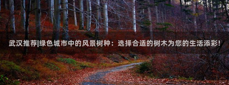 新宝GG网页：武汉推荐|绿色城市中的风景树种：选择合适的树木为您的生活添彩!