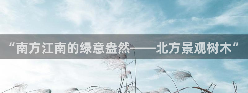 新宝gg官方注册找上级：“南方江南的绿意盎然——北方景观树木”
