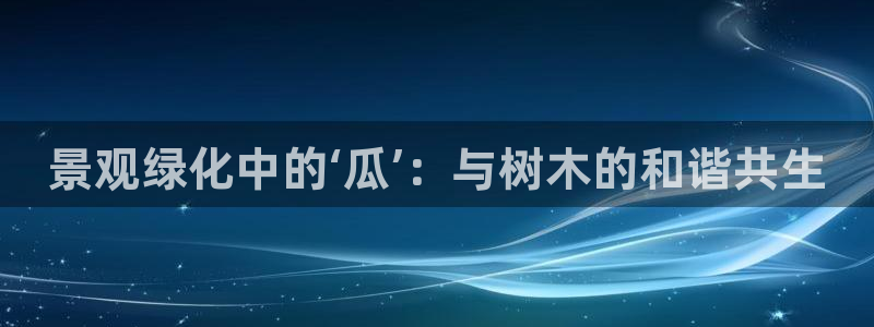 新宝gg怎么开户