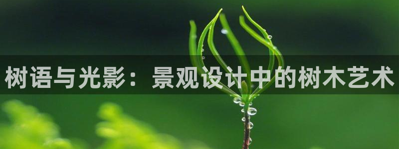 新宝gg开户