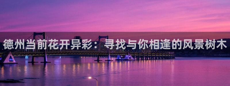 新宝gg辅助