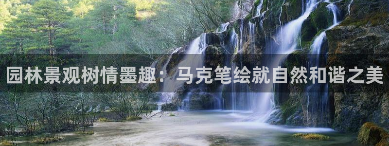 新宝GG的老板