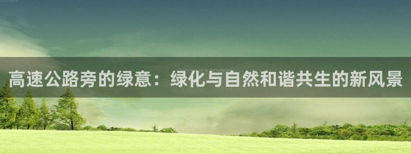 下载新宝gg