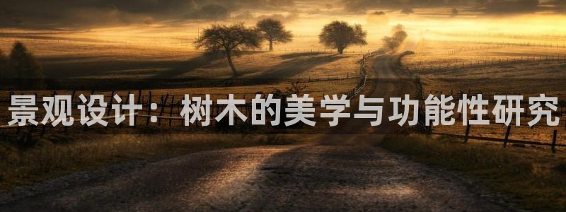 新宝gg-创业奇迹