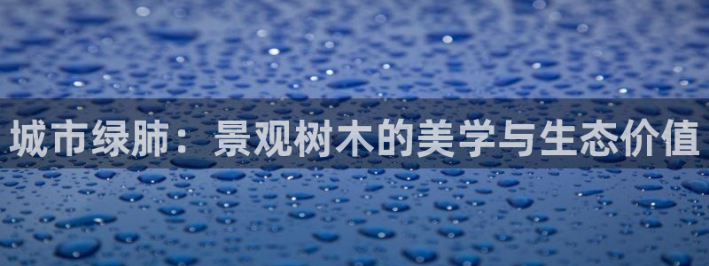 新宝gg娱乐注册：城市绿肺：景观树木的美学与生态价值