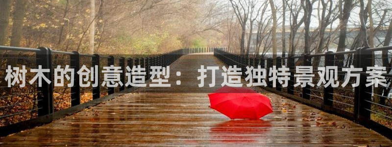新宝gg会员：树木的创意造型：打造独特景观方案