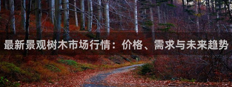 新宝gg平台开发