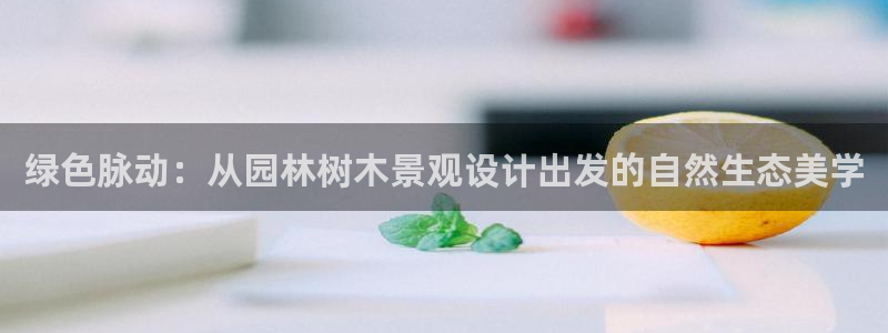 新宝GG主管41333