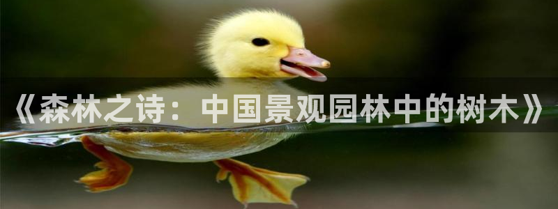 新宝GG玩家：《森林之诗：中国景观园林中的树木》
