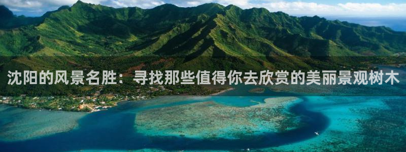 怎么下载新宝gg