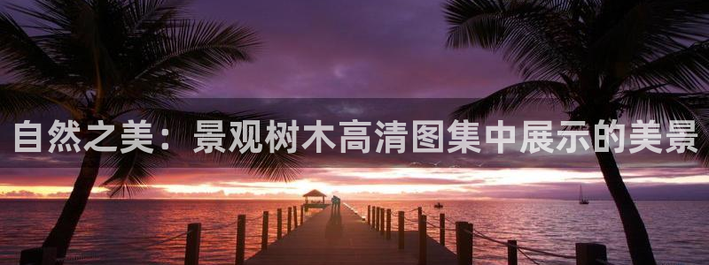 新宝gg高频彩票
